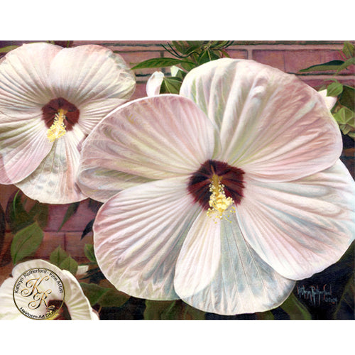 A beautiful white hibiscus by Kathryn Rutherford-Heirloom Art Studio